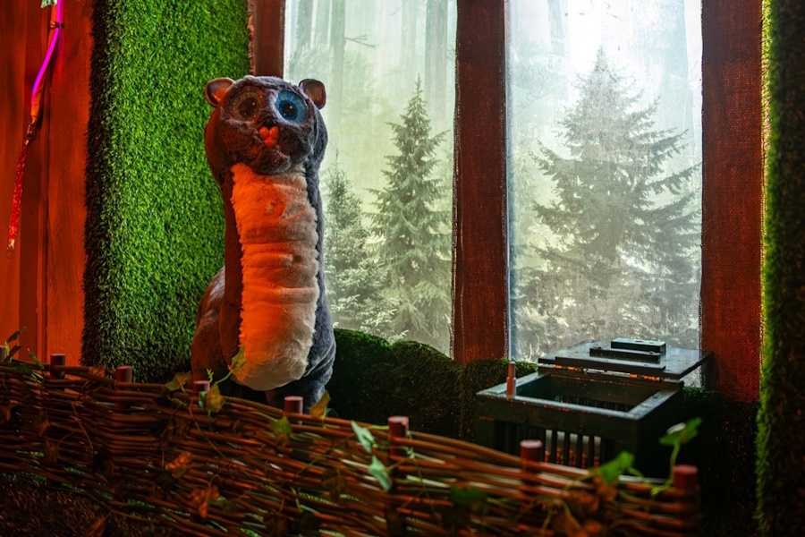 Квест в реальности Омут памяти от компании Эль квест Квест в реальности Омут памяти от компании Эль квест